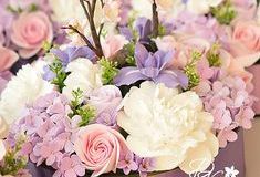 Beautiful flowers